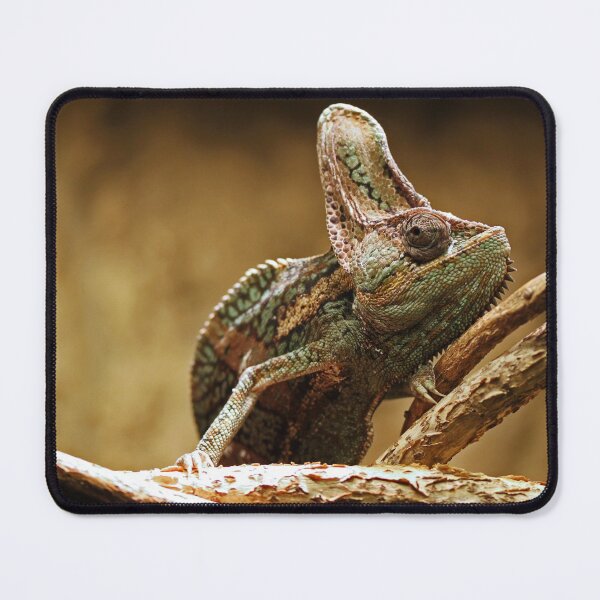 Item preview, Veiled chameleon designed and sold by rootedrender.