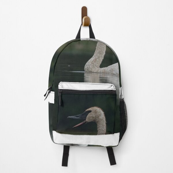 Item preview, Trumpeter Swan calling on Gile Flowage in Northern Wisconsin designed and sold by Steven Holt.