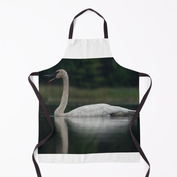 Item preview, Trumpeter Swan calling on Gile Flowage in Northern Wisconsin designed and sold by Steven Holt.