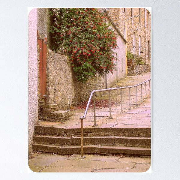 Item preview, Steps in Stromness designed and sold by lezvee.