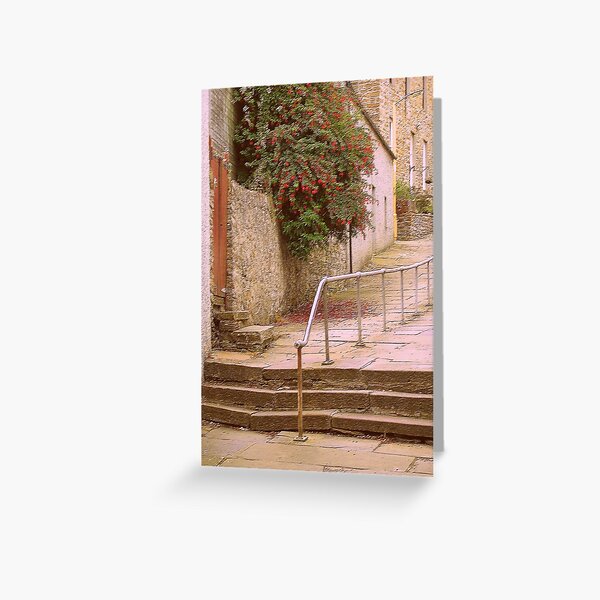 Item preview, Steps in Stromness designed and sold by lezvee.
