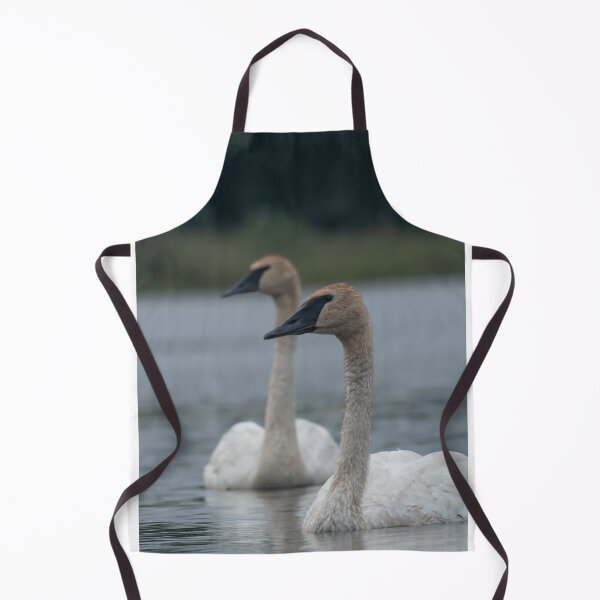 Item preview, Trumpeter Swans on Gile Flowage in Northern Wisconsin designed and sold by Steven Holt.