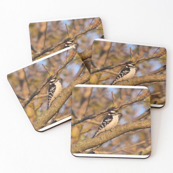 Item preview, Male Downy Woodpecker Perched In A Tree designed and sold by BackyardBirder.