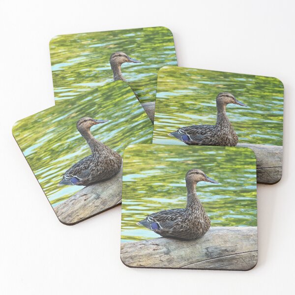Item preview, Female Mallard Duck Sitting On A Log designed and sold by BackyardBirder.