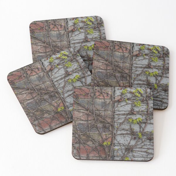 Item preview, Bound together by nature designed and sold by Colin Scott.