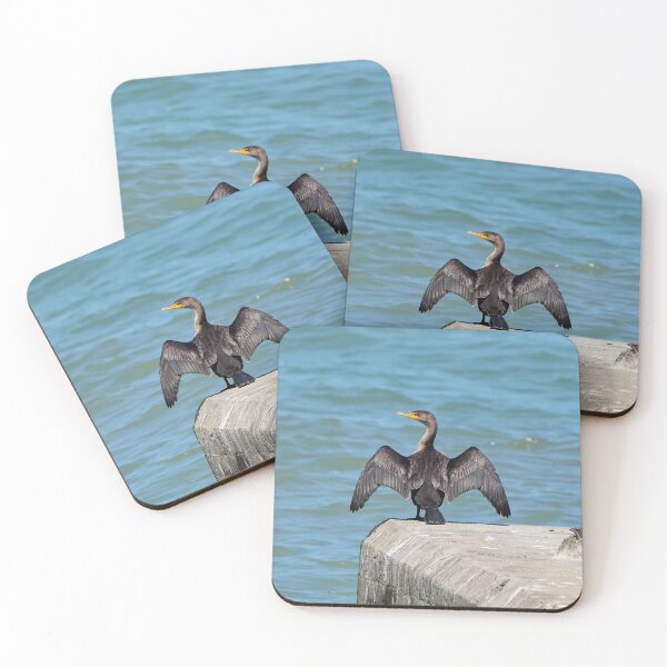Item preview, Double-Crested Cormorant With Its Wings Spread designed and sold by BackyardBirder.