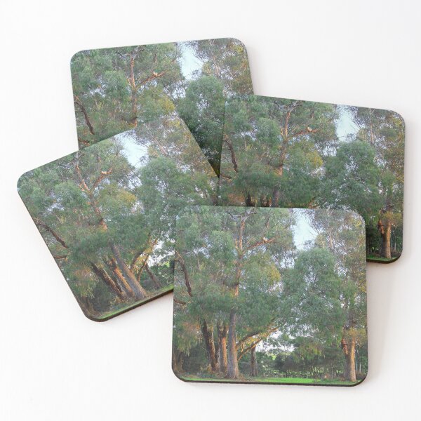 Item preview, Sunlight on Wiltshire Gums designed and sold by phillip wise.