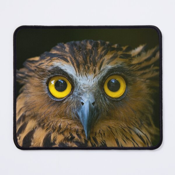 Item preview, Buffy Fish Owl @ Penang Hill Biosphere Reserve designed and sold by David ST Loh Images.