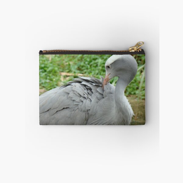 Item preview, grooming designed and sold by Jan Stead JEMproductions.