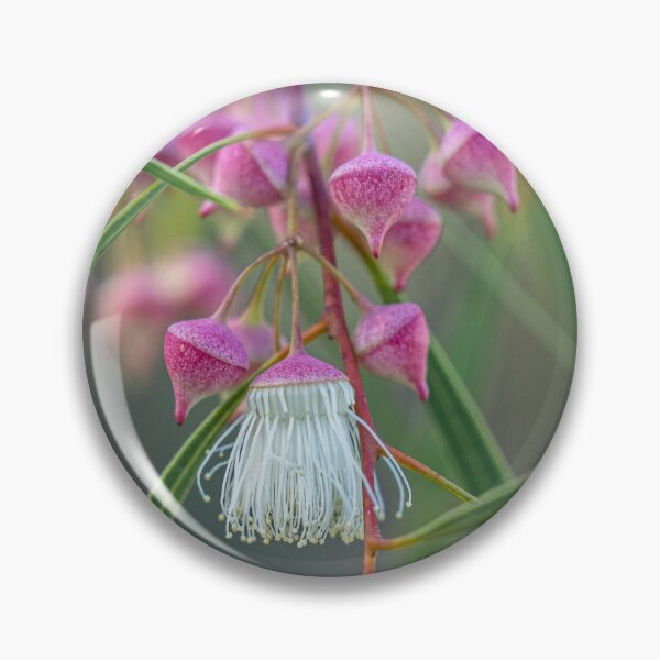 Item preview, Synandra Tassel designed and sold by SallyB.Photography.