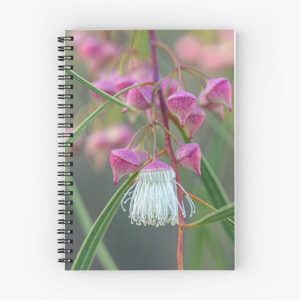 Item preview, Synandra Tassel designed and sold by SallyB.Photography.