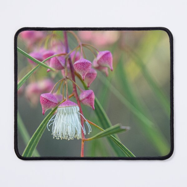 Item preview, Synandra Tassel designed and sold by SallyB.Photography.