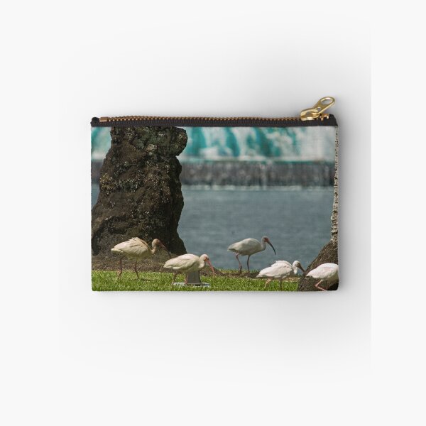Item preview, Lake Eola Ibis designed and sold by Larry Grayam.