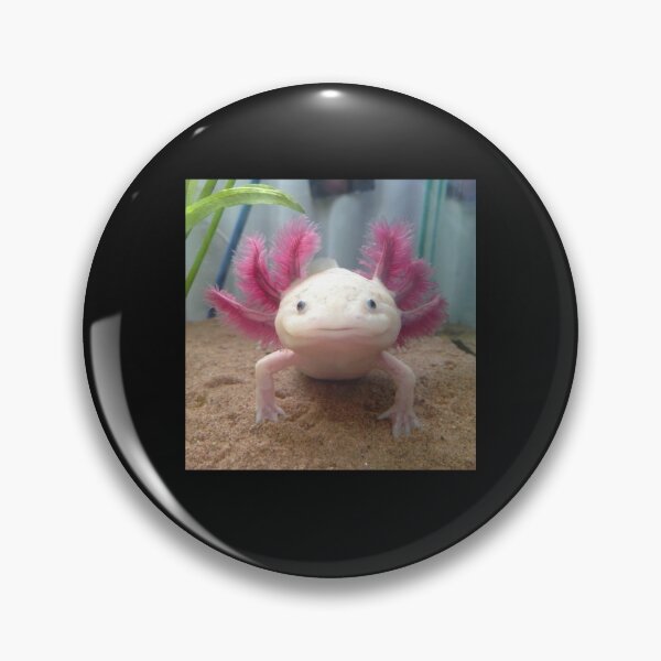 Item preview, Smiling Leucistic Axolotl! Throw Pillow designed and sold by MyArtYourWorld.