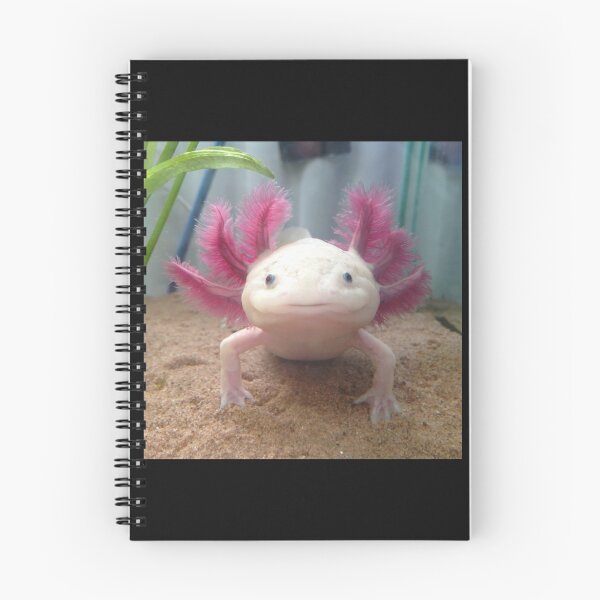 Item preview, Smiling Leucistic Axolotl! Throw Pillow designed and sold by MyArtYourWorld.
