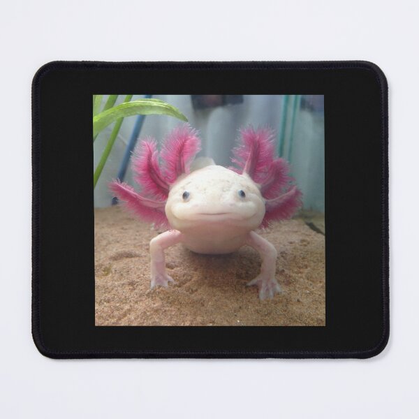 Item preview, Smiling Leucistic Axolotl! Throw Pillow designed and sold by MyArtYourWorld.