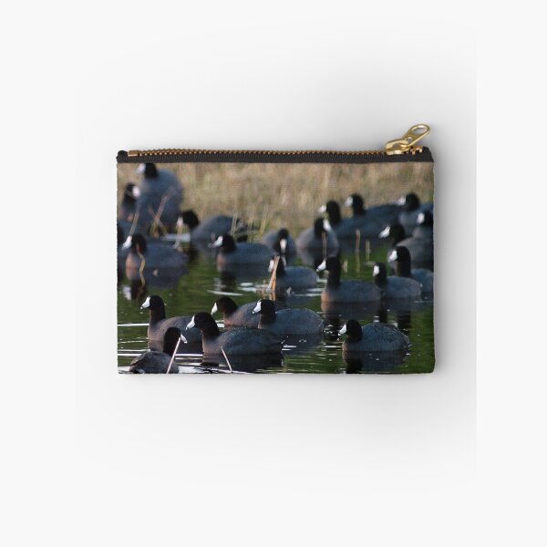 Aperçu de l'œuvre MIWR Coots créée et vendue par Larry  Grayam.