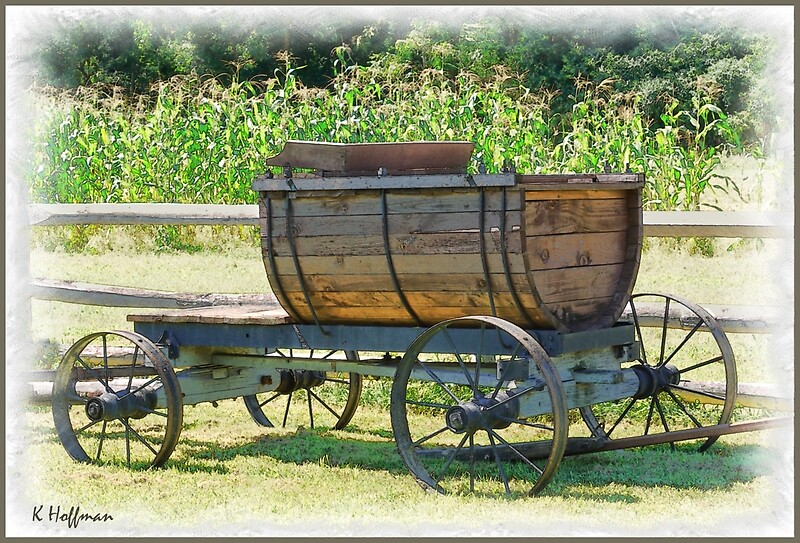 “Barrel Wagon” by Kenneth Hoffman | Redbubble