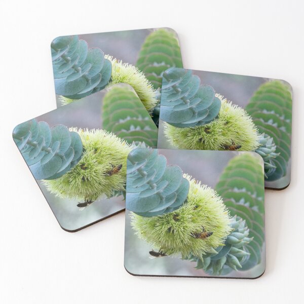 Item preview, Reaching Out - Bookleaf Mallee designed and sold by SallyB.Photography.