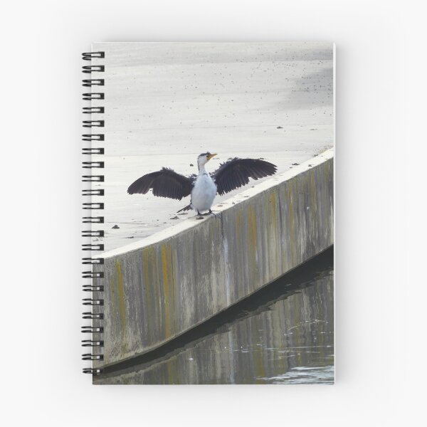 Item preview, El Cormorán Pied australiano 2 designed and sold by cryptomilitant.
