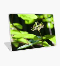 details Laptop Skin