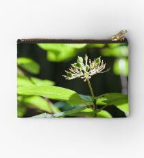 details Studio Pouch