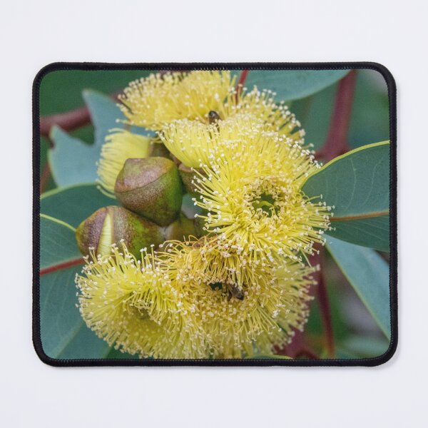 Item preview, Bell Mallee designed and sold by SallyB.Photography.