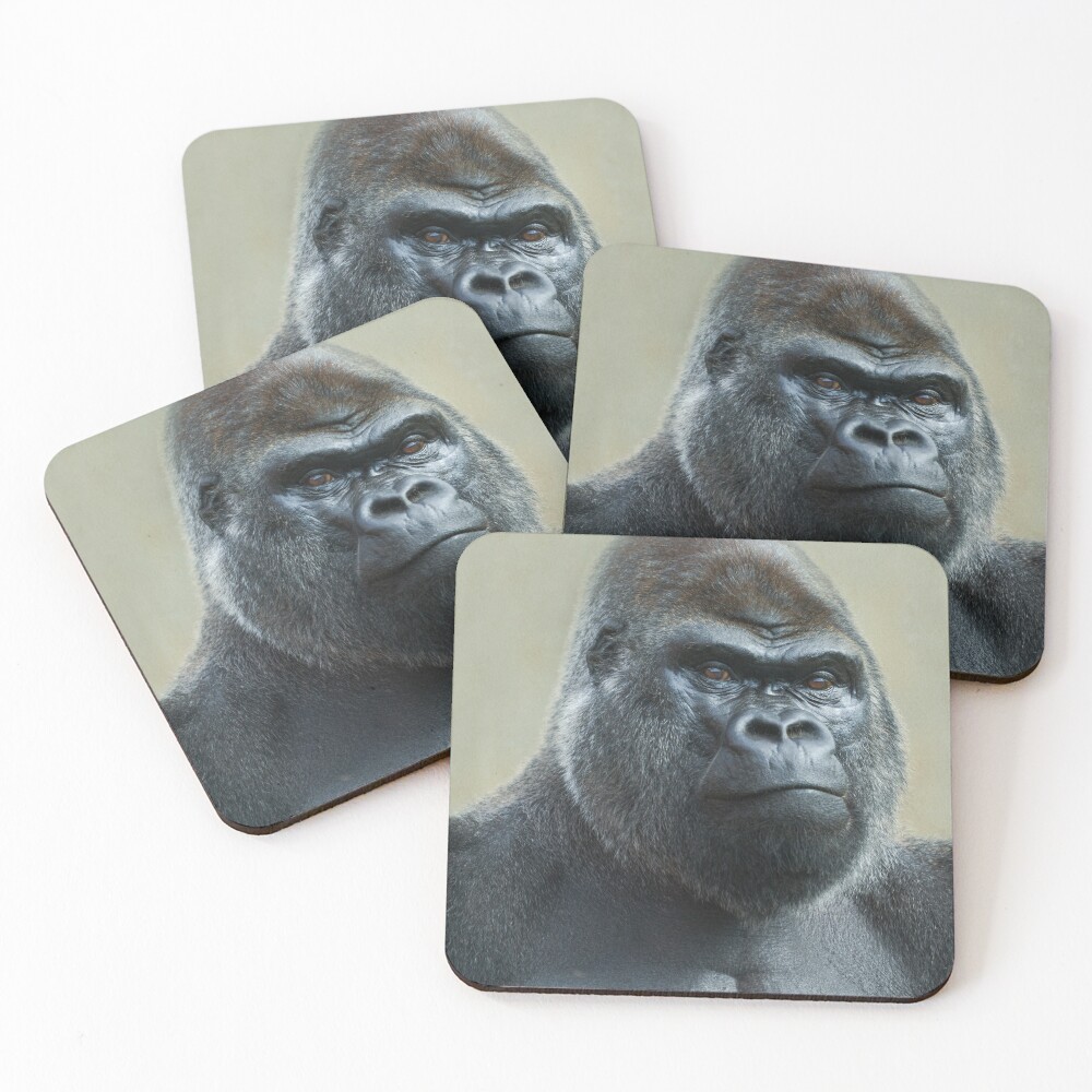 Item preview, Coasters (Set of 4) designed and sold by rawshutterbug.