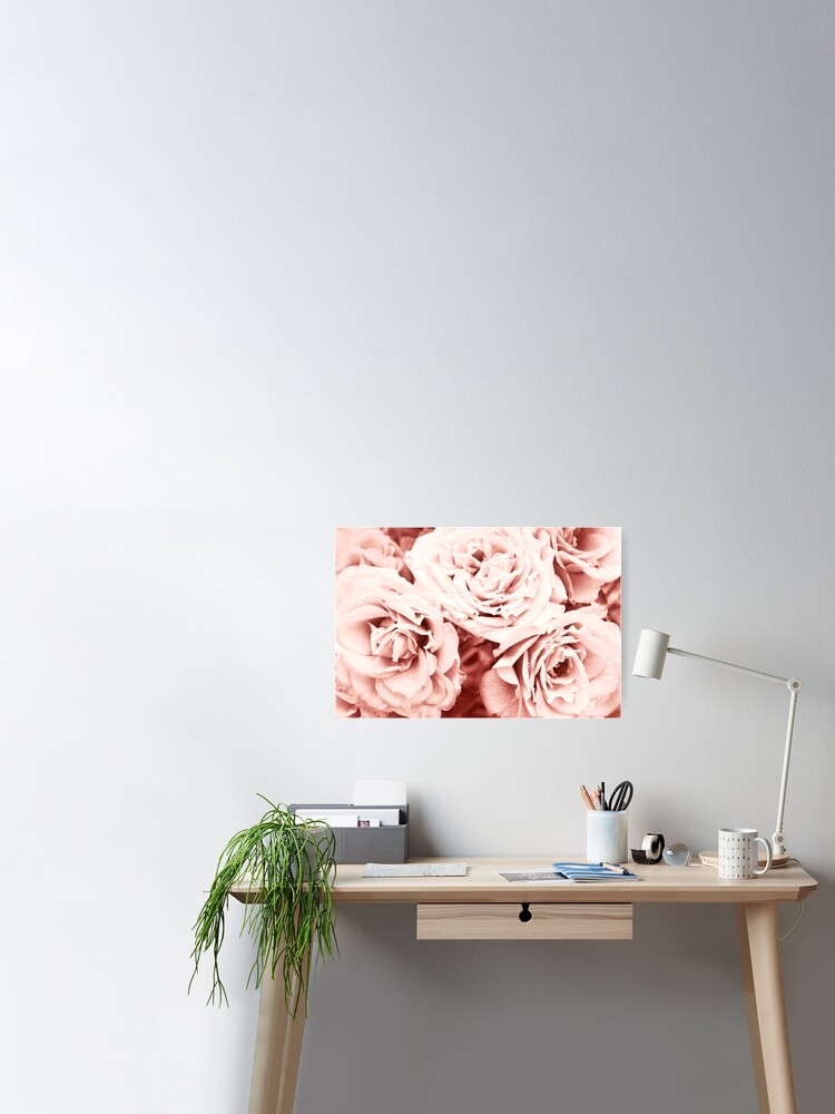 Redbubble Poster Floral pastel pink roses flower close-up by ARTbyJWP