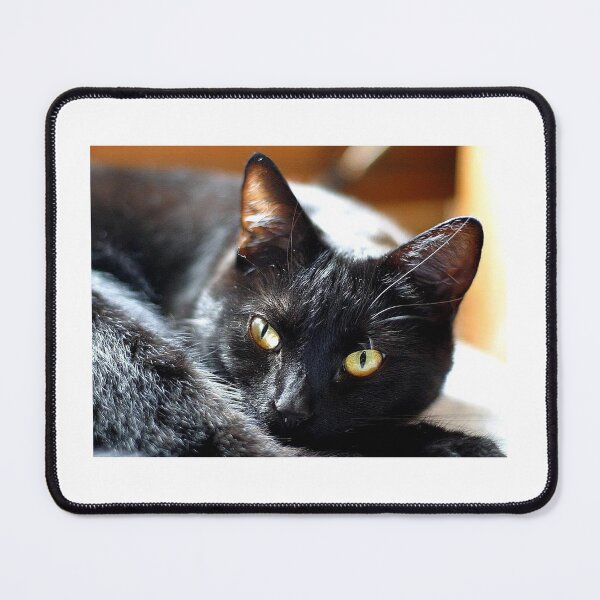 Item preview, Is fierce what you call it or cute? designed and sold by Mastermindzz.