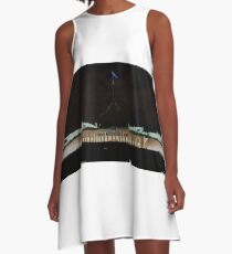 1146 Parliament House, Canberra A-Line Dress