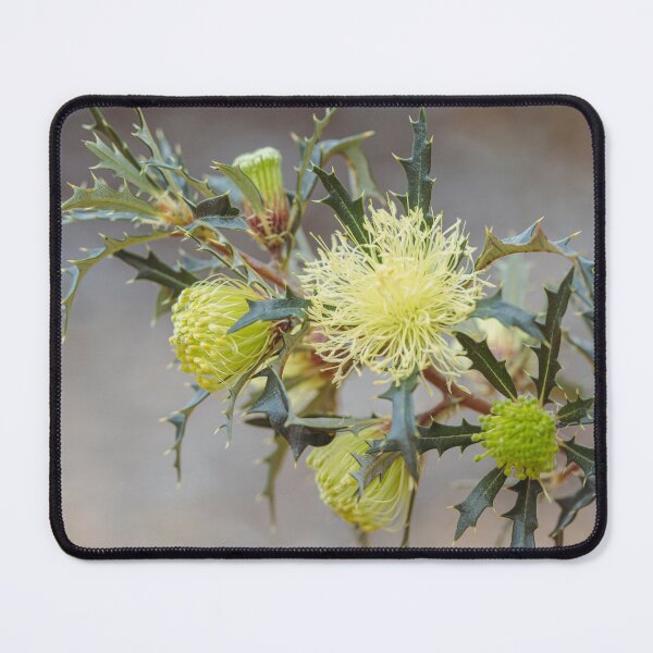 Item preview, Pingle Bouquet designed and sold by SallyB.Photography.