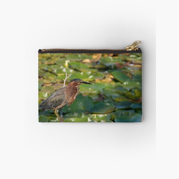 Item preview, Green Heron designed and sold by Barb White.