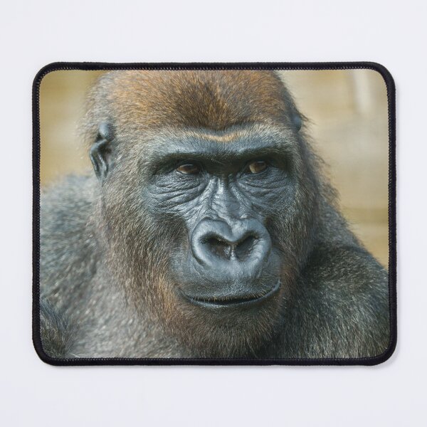 Item preview, Gorilla Close-Up designed and sold by rawshutterbug.