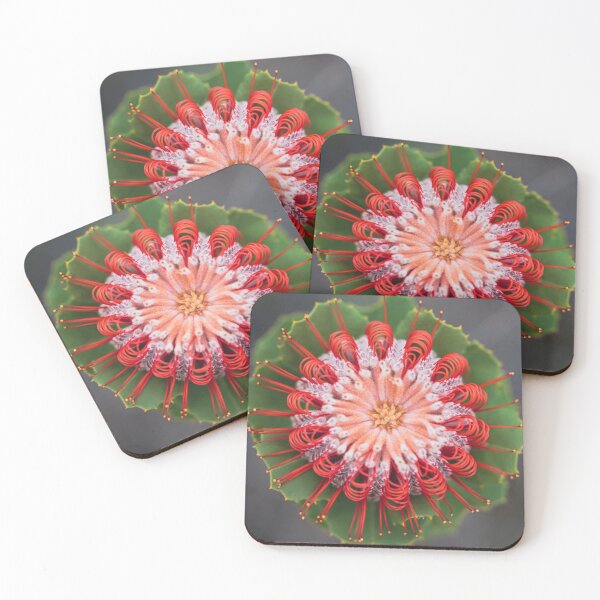 Item preview, Scarlet Perfection designed and sold by SallyB.Photography.