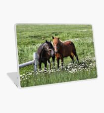 South Dakota Horses Laptop Skin