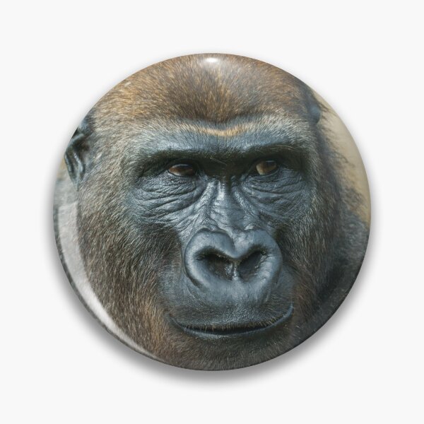 Item preview, Gorilla Close-Up designed and sold by rawshutterbug.