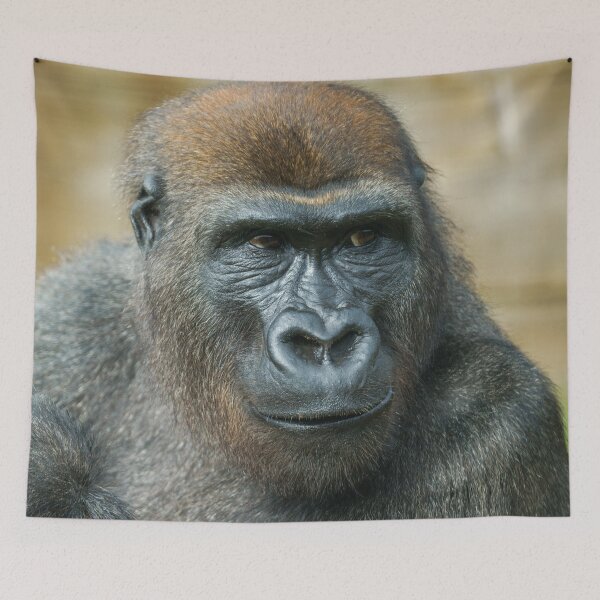 Item preview, Gorilla Close-Up designed and sold by rawshutterbug.