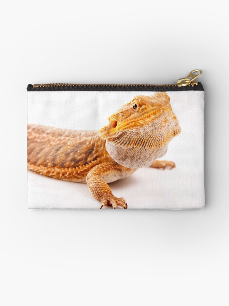 bearded dragon pouch