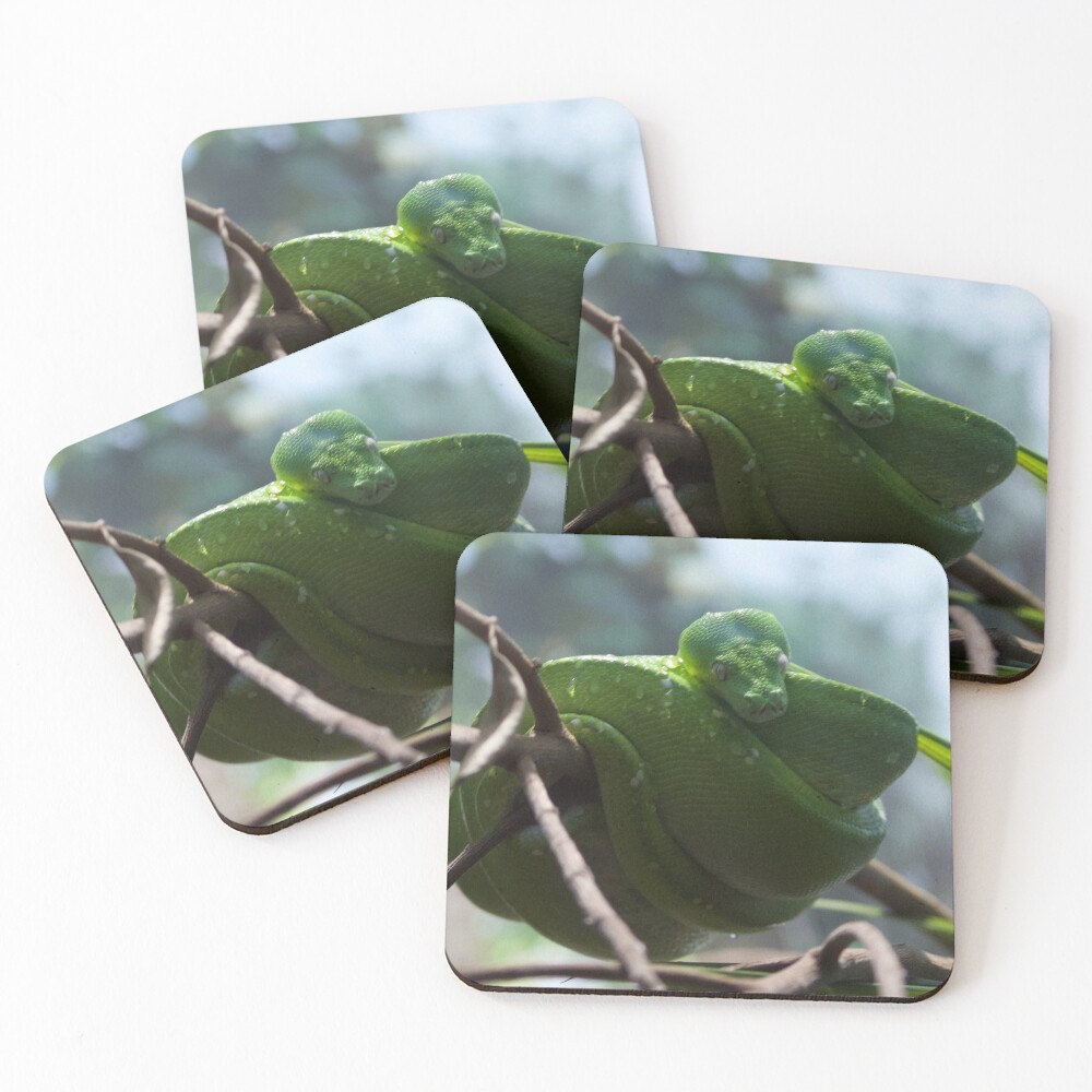 Item preview, Coasters (Set of 4) designed and sold by smh2.
