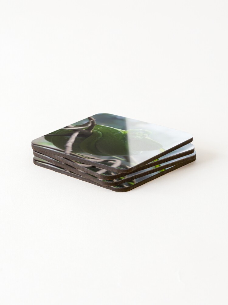 Thumbnail 4 of 5, Coasters (Set of 4), Green Tree Python designed and sold by smh2.