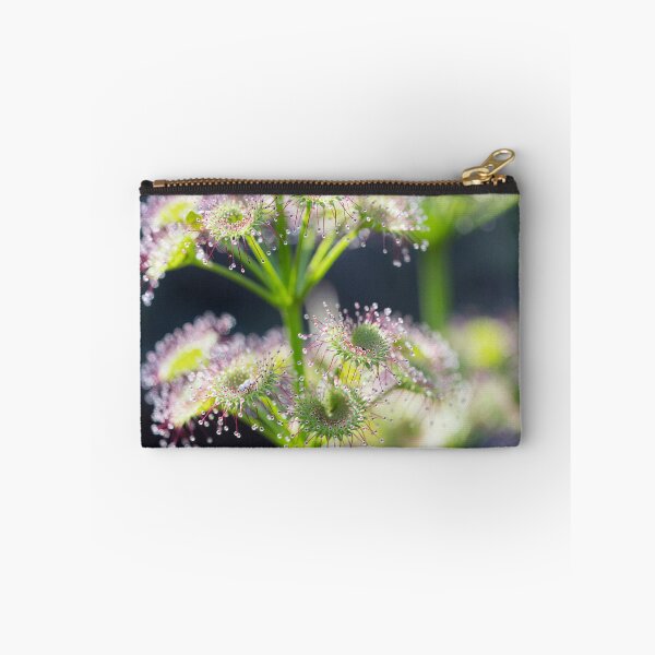 Item preview, Sundew Sparkles designed and sold by SallyB.Photography.