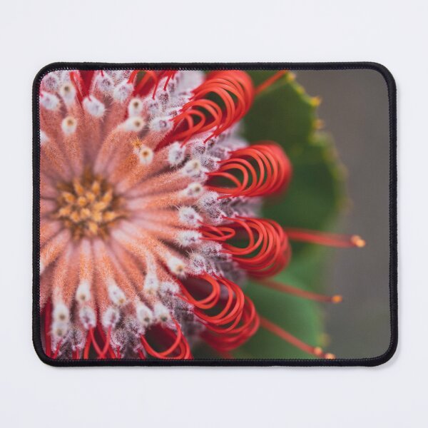 Item preview, Scarlet Perfection 2 designed and sold by SallyB.Photography.