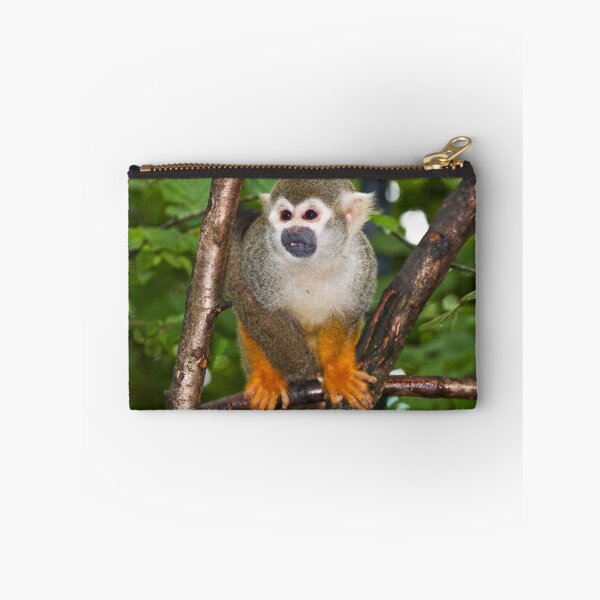 Item preview, Common Squirrel Monkey designed and sold by Shaun Whiteman.