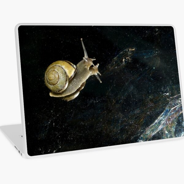 Sea Snail Squid Fantasy Vintage PC Computer Mouse Mat Pad