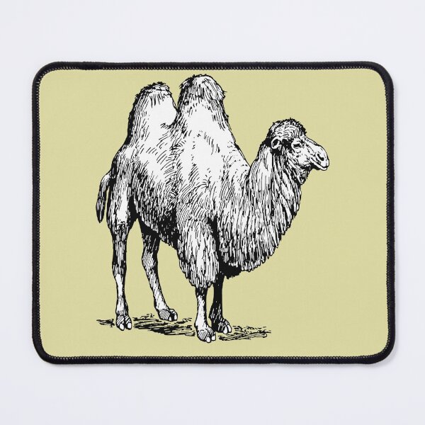 Item preview, Bactrian Camel Vintage Style Illustration designed and sold by taiche.