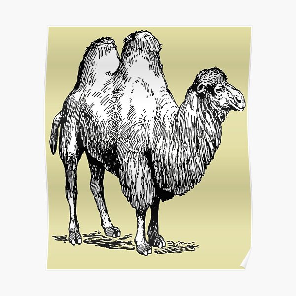 nice looking moletom com capuzs