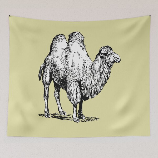 Item preview, Bactrian Camel Vintage Style Illustration designed and sold by taiche.