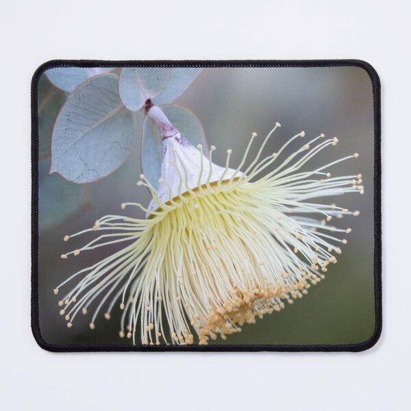 Item preview, Lemon Blossom designed and sold by SallyB.Photography.