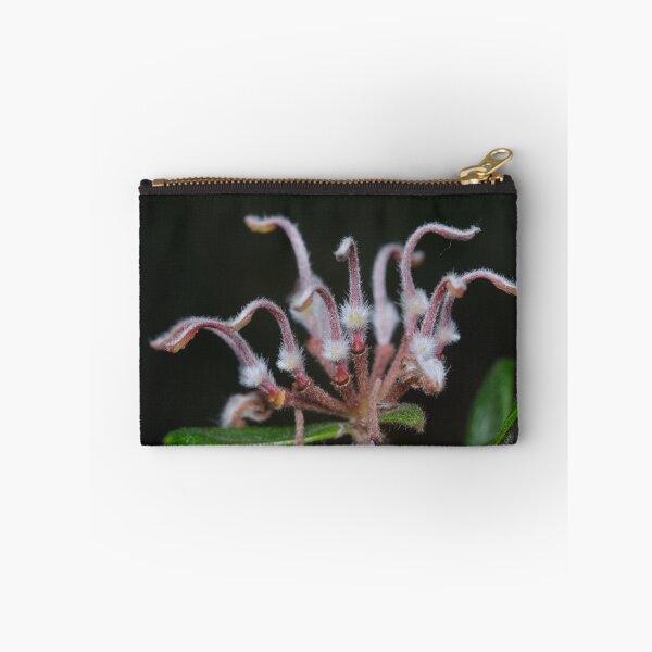 Item preview, Grevillea designed and sold by Andrew Trevor-Jones.